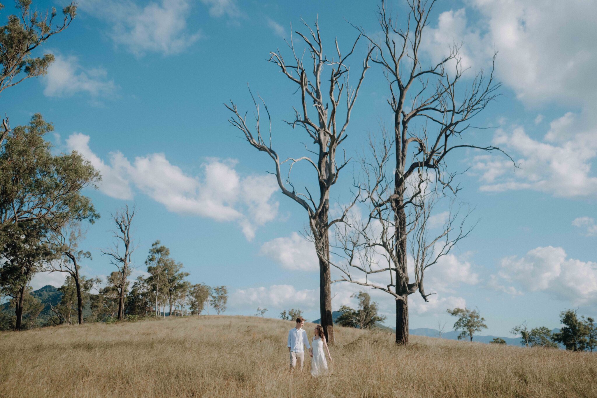 C & C (Engagement)-85