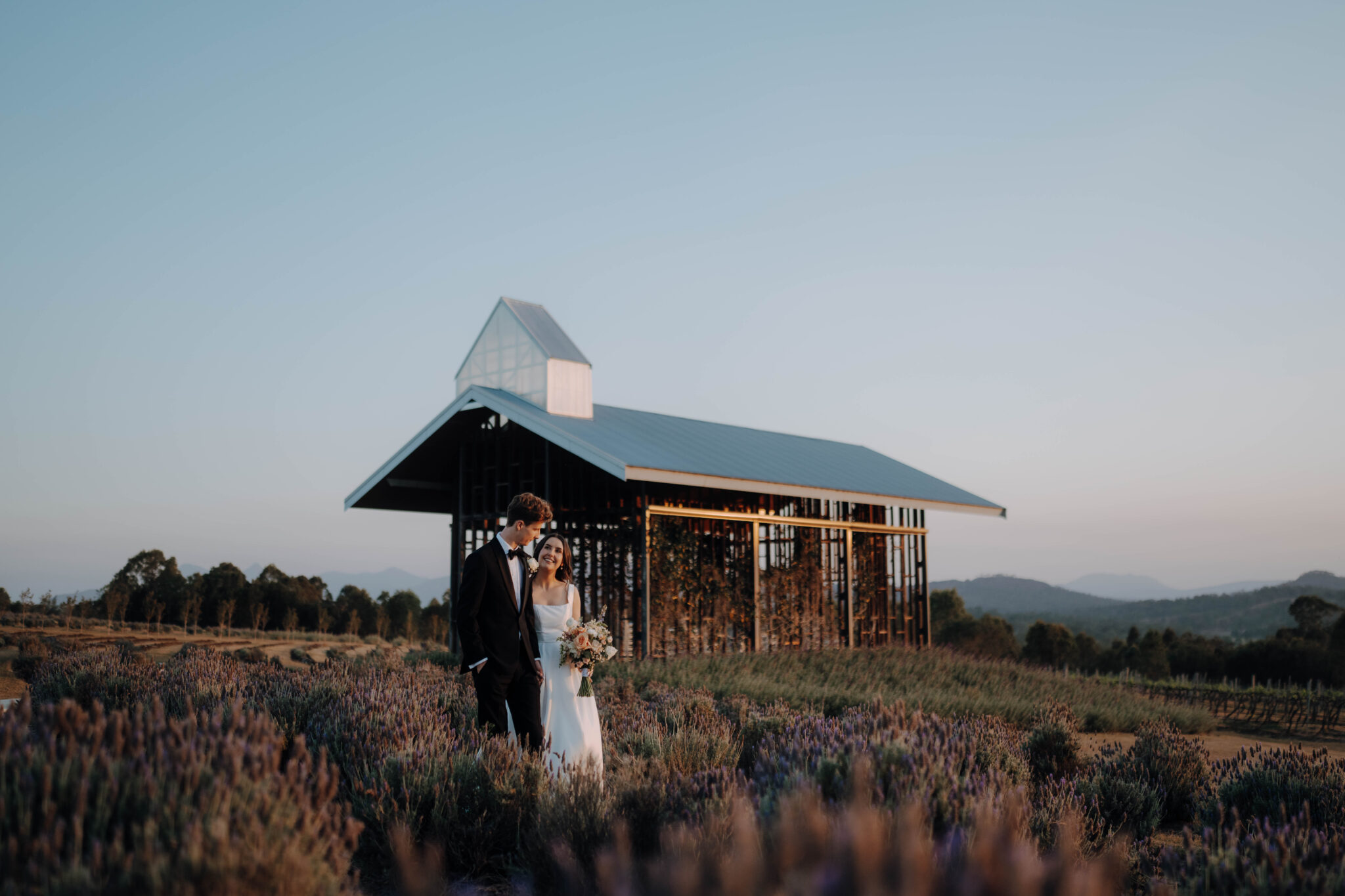 A bride and groom stand together in a field of lavender, holding a bouquet, with a modern, open-frame barn structure in the background at sunset.
